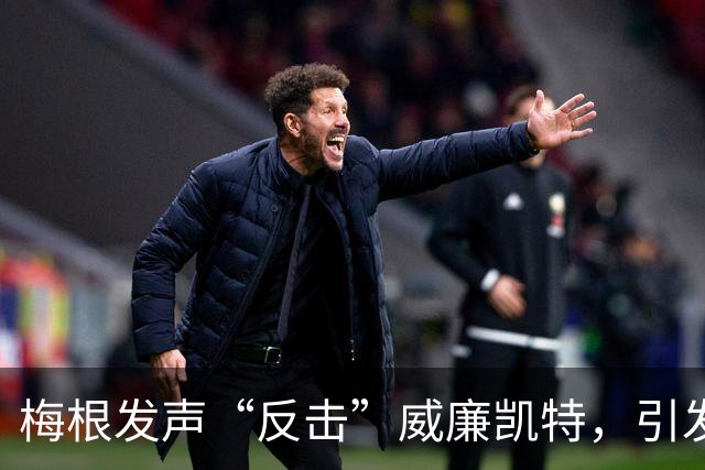 梅根发声“反击”威廉凯特，引发舆论热议